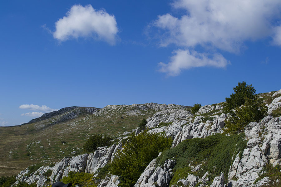 HPD on the Chatyr-Dag plateau (photo report) - My, Crimea, Tracking, Travels, Photo, Hike, Tourism, Adventures, Chatyr-Dag, Longpost