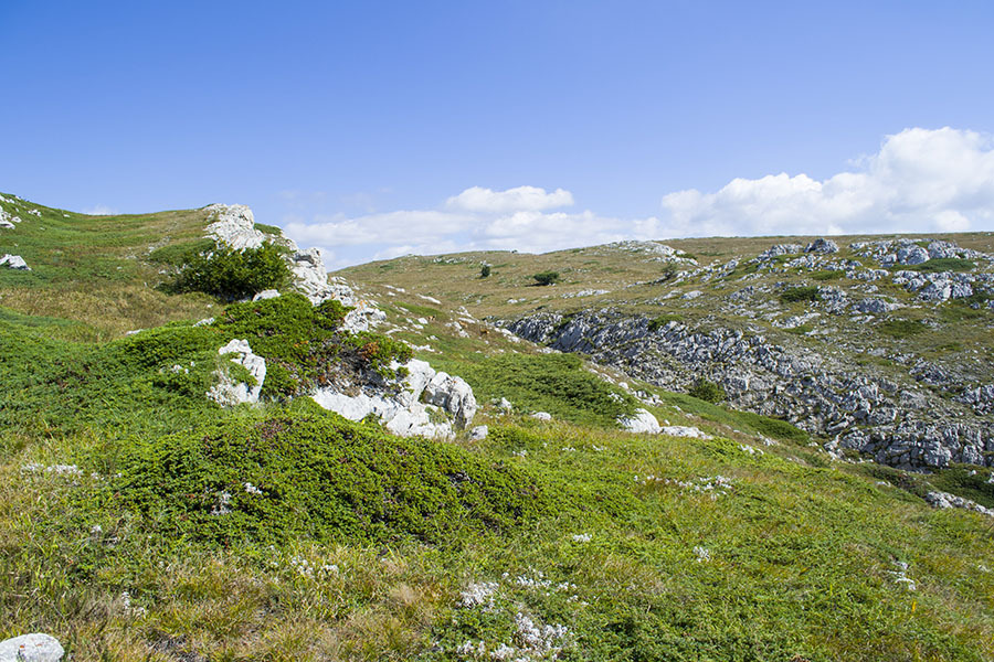 HPD on the Chatyr-Dag plateau (photo report) - My, Crimea, Tracking, Travels, Photo, Hike, Tourism, Adventures, Chatyr-Dag, Longpost