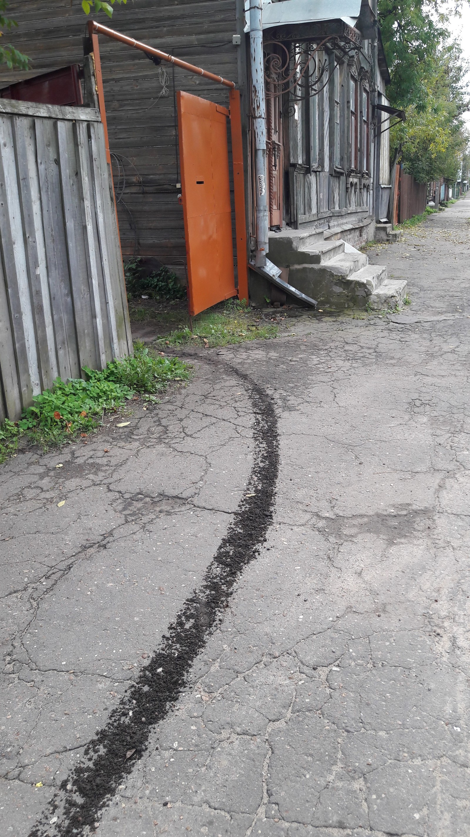 When you try to pull off asphalt shavings without fawn - My, Photo, Longpost, Russia, Humor