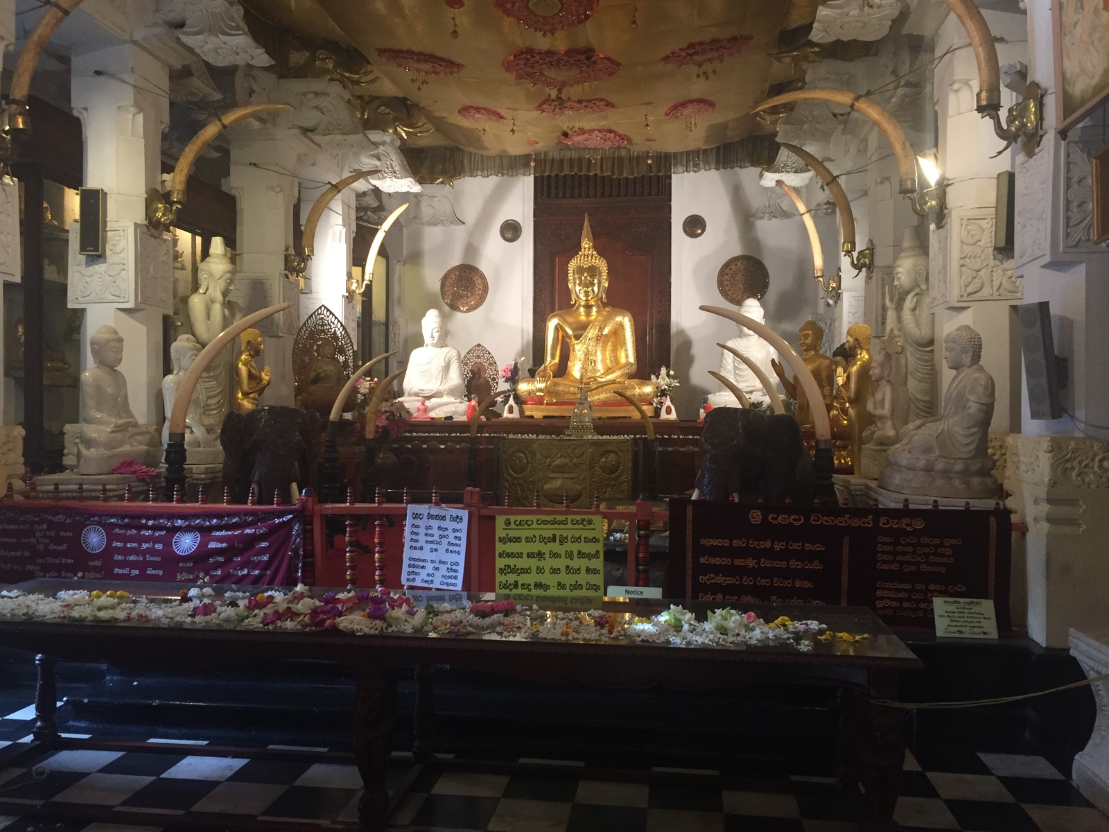 Temple of the Tooth Relic, Sri Lanka - My, , Sri Lanka, Buddha, Longpost