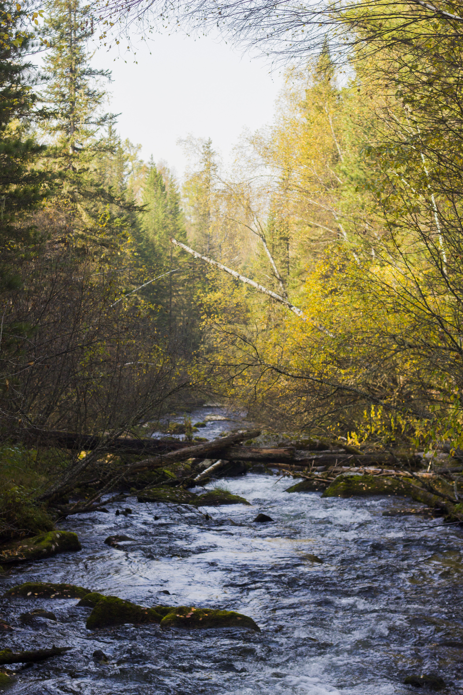 It's like being on another planet. - My, Tourism, Russia, Siberia, The mountains, Hike, Krasnoyarsk, Longpost