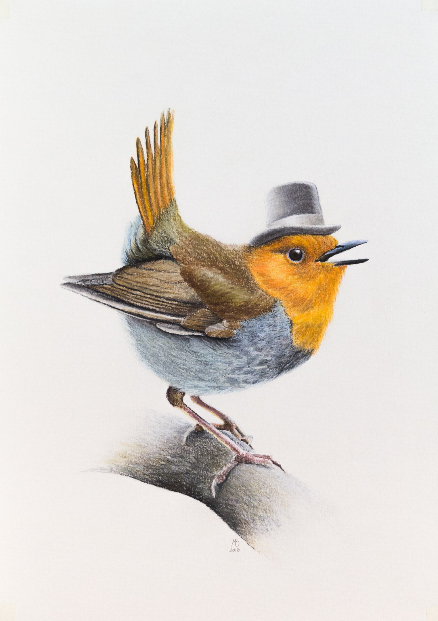 Birds in hats - My, Animalistics, Birds, Pastel, Graphics, Drawing, Longpost, Birds in hats