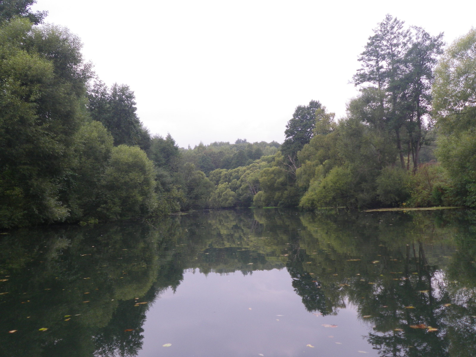 Rafting on the Serena River, Kaluga Region - My, Alloy, River rafting, River, Nature, The nature of Russia, , Fishing, Longpost