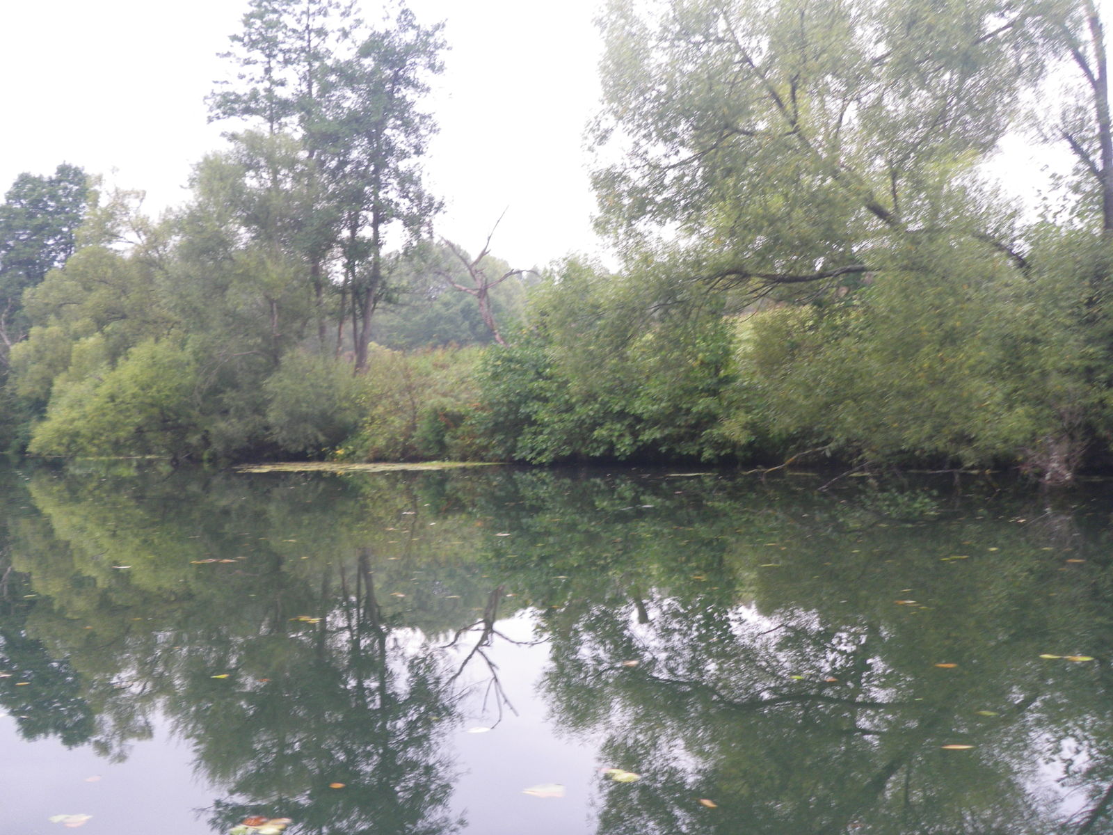 Rafting on the Serena River, Kaluga Region - My, Alloy, River rafting, River, Nature, The nature of Russia, , Fishing, Longpost