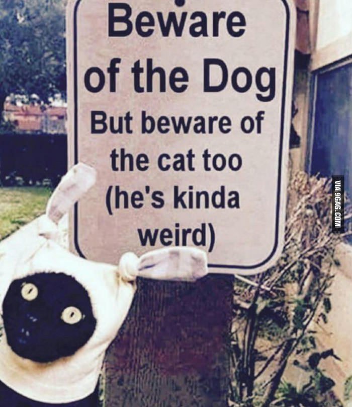 Be afraid of the dog... but also be afraid of the cat (she's a bit strange). - 9GAG, cat, Signs