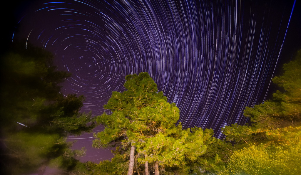 Rest in Divnomorskoye village - My, Stars, Startrails, Pine, Blackpool, Long exposure, The photo