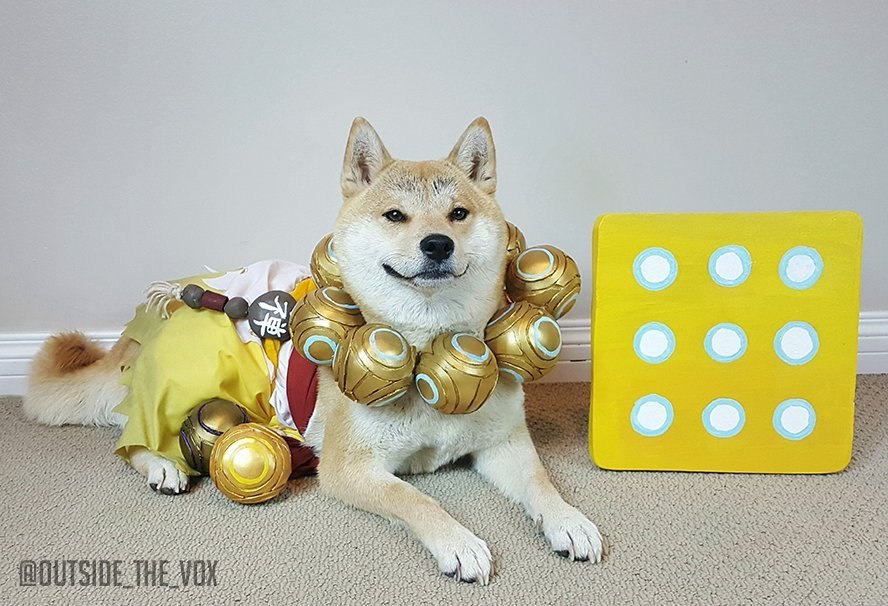 Another cosplay from a good dog ^_^ - Overwatch, Zenyatta, Cosplay, Dog