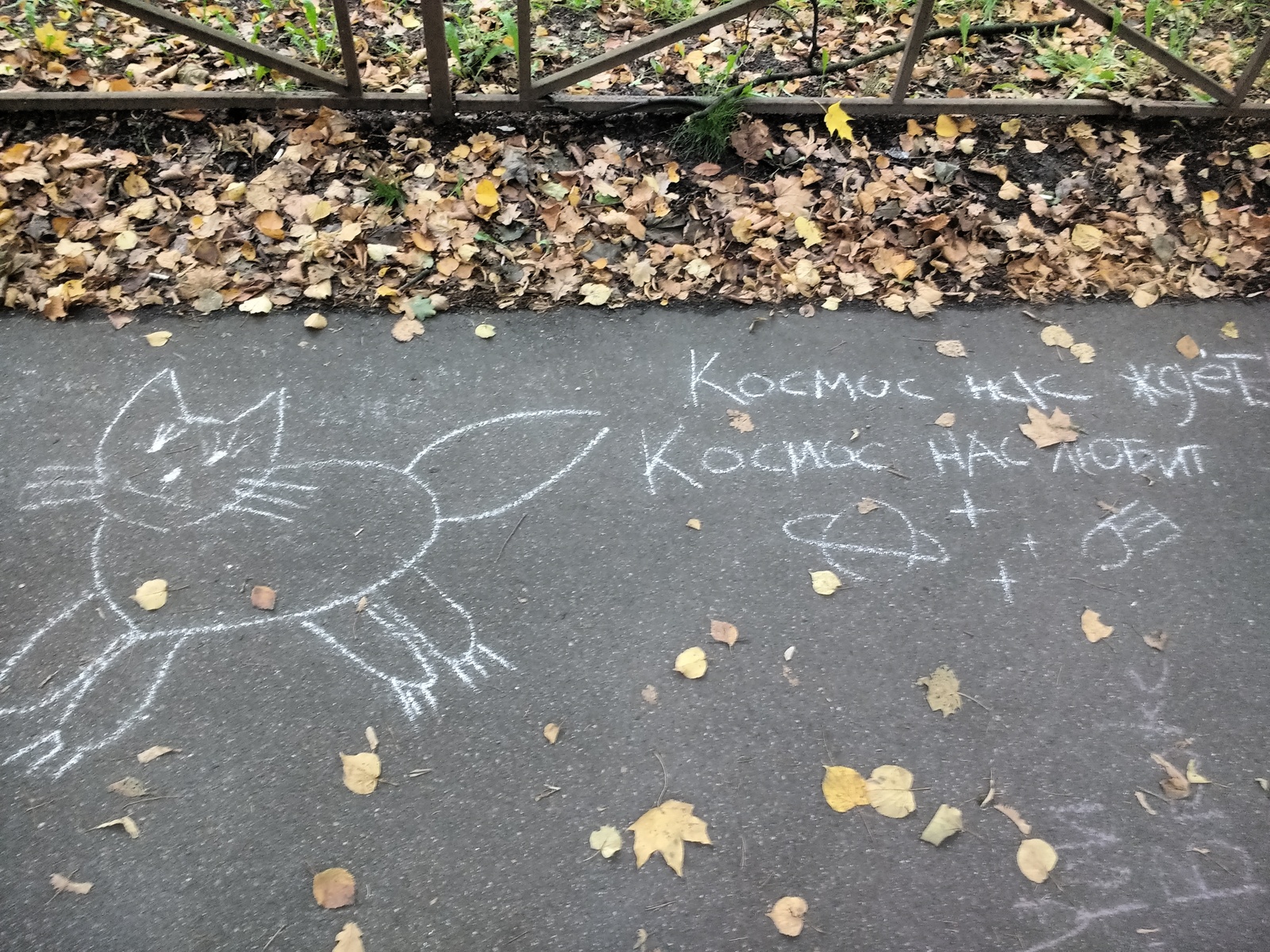 All space and cats - Saint Petersburg, Not mine, Space, Chalk drawing, cat