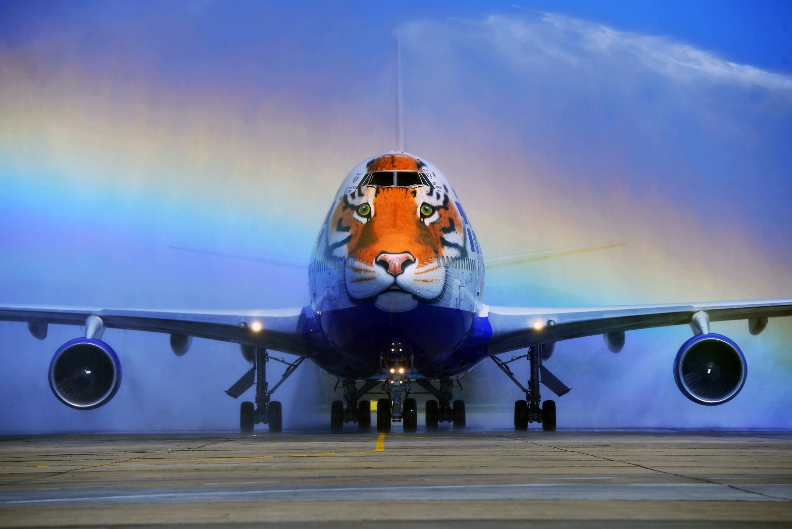 Here you will encounter such a miracle in the clouds ... - Tiger, Airplane, cat