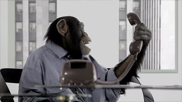 A little joy in the office - Comics, GIF with background, Office, Monkey, GIF, Longpost