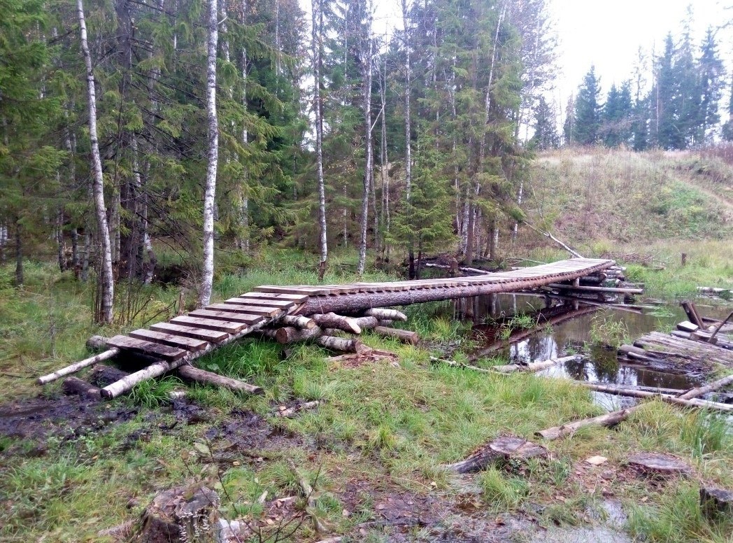 Первый веломаршрут в Ленинградской области | Пикабу