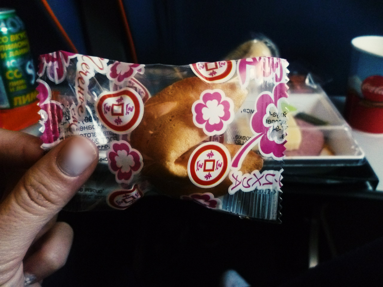 Prediction on board - My, Airplane, The photo, Cookies, Fortune cookies