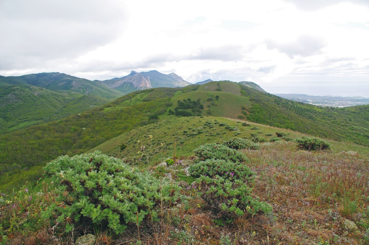 Spring in the Crimean mountains. - My, Crimea, Photo, Russia, Echki-Dag, New World, , The mountains, Spring, Longpost