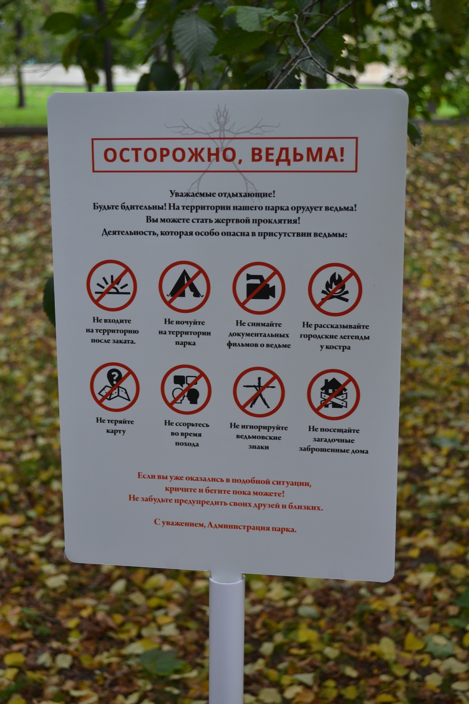 Unusual warnings appeared in Moscow parks - 