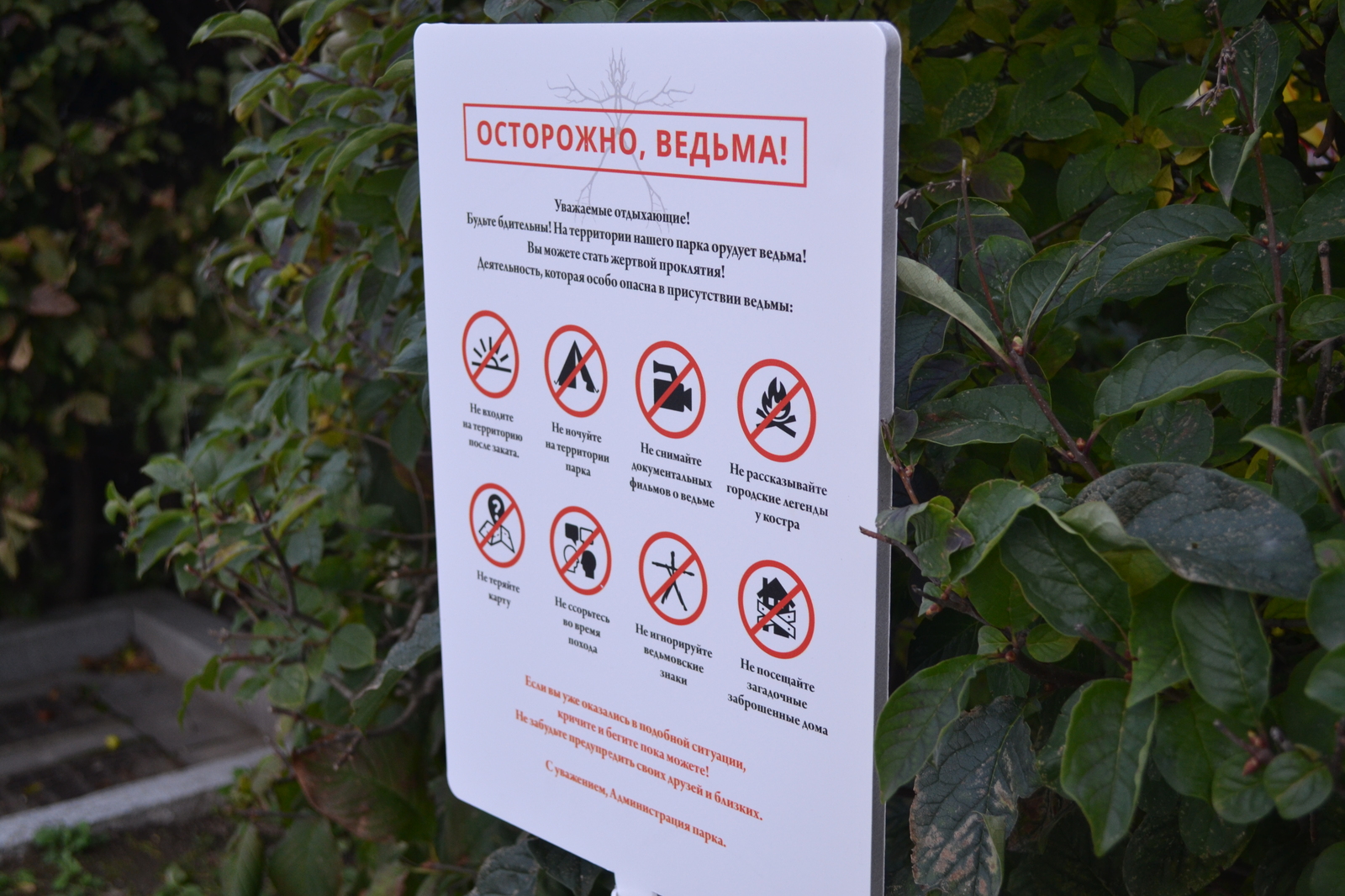 Unusual warnings appeared in Moscow parks - 