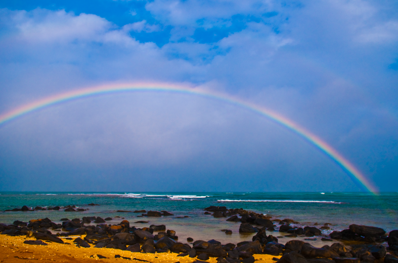 Rainbow - Радуга, Фото