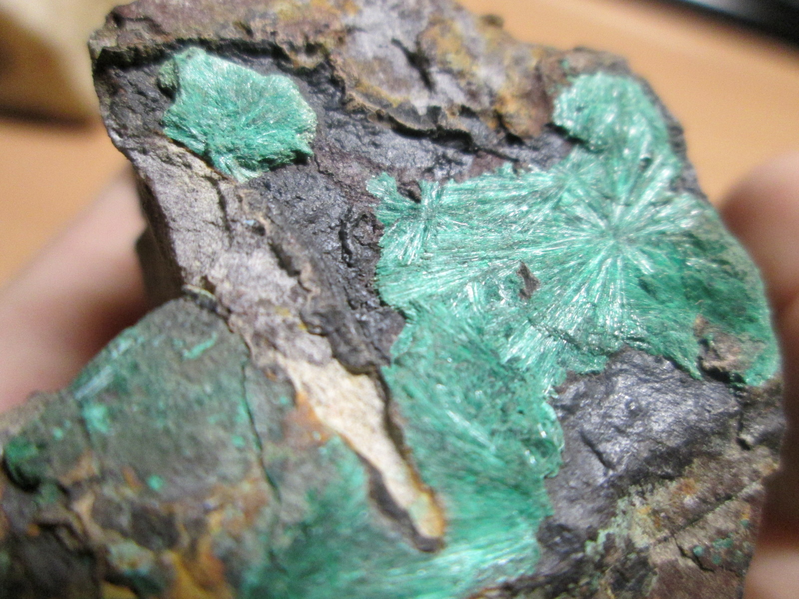Able to surprise... - My, Longpost, Minerals, Collection, The photo, Geologists, Geology