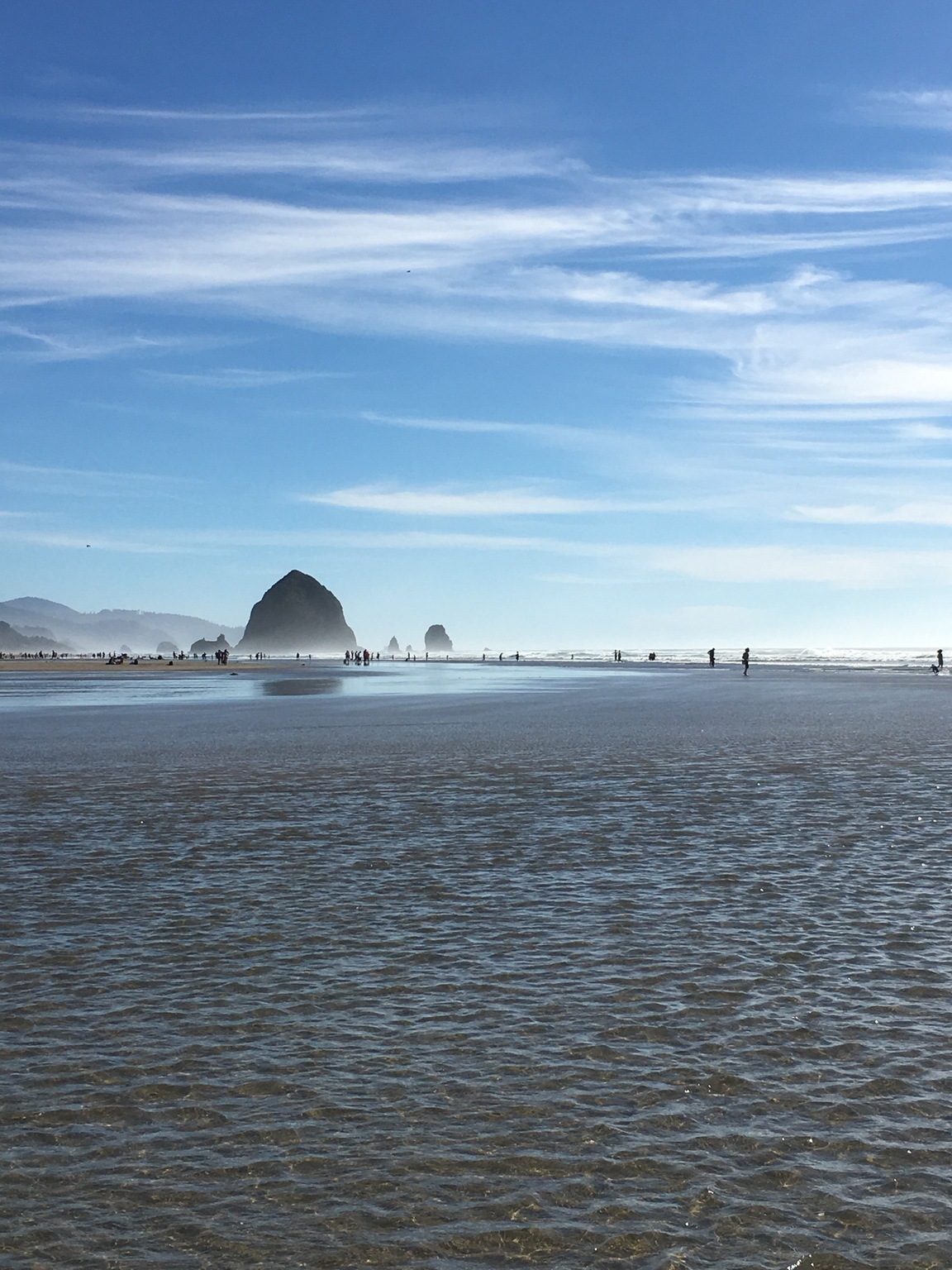 Oregon coast - Photo, The photo, beauty, Shore