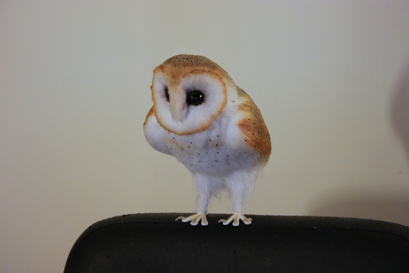 Fur owlet - My, Owl, Longpost, My, Barn owl, Handmade