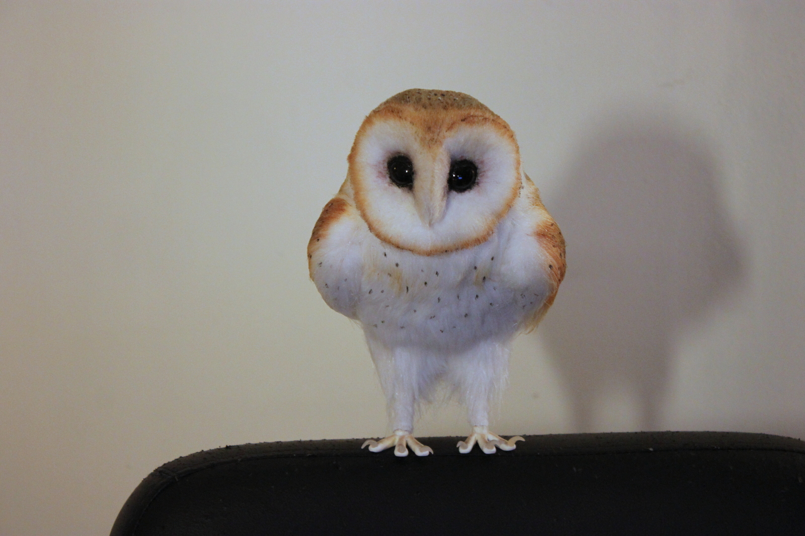 Fur owlet - My, Owl, Longpost, My, Barn owl, Handmade