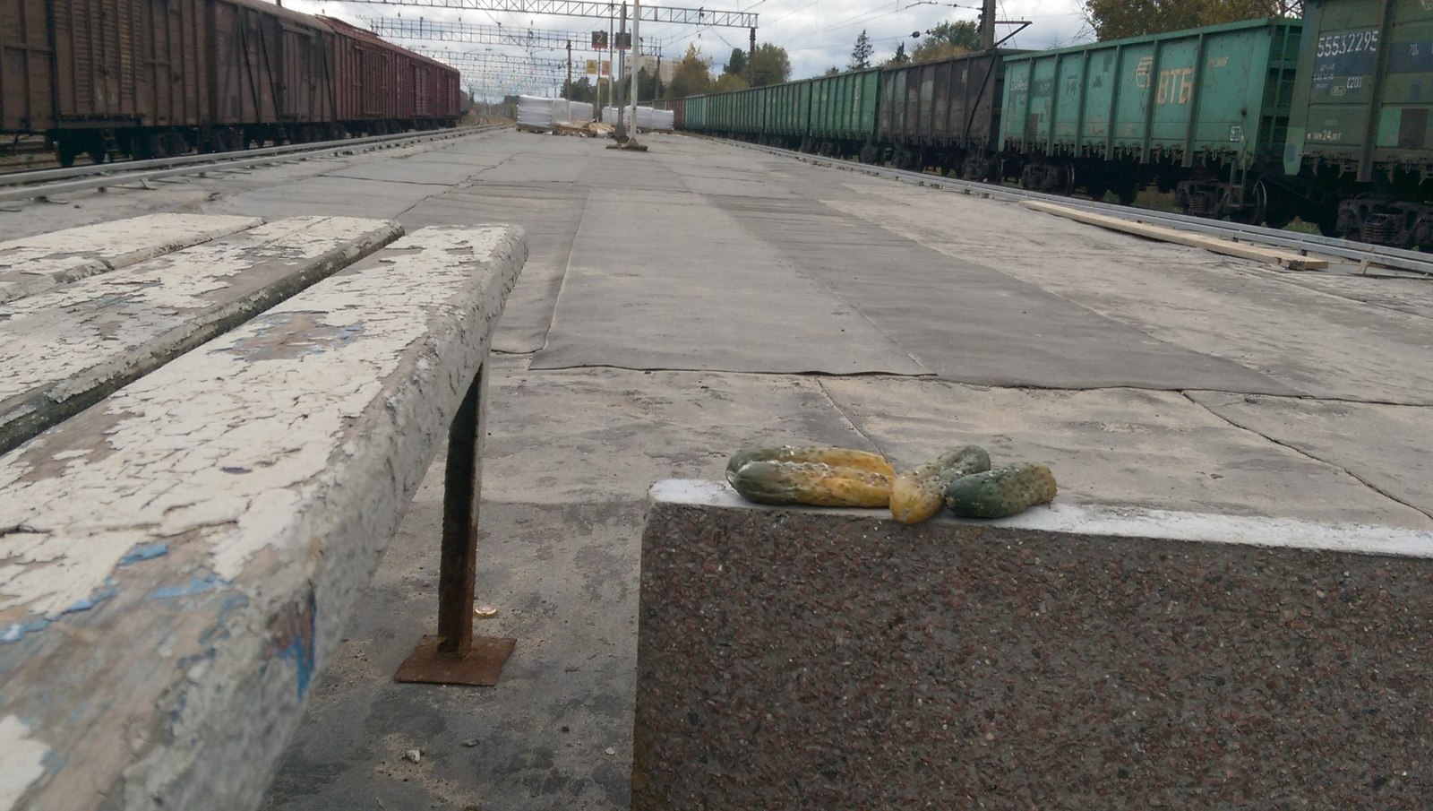 I'm sitting, waiting for the train. - Cucumbers, Platform, Train, Photo