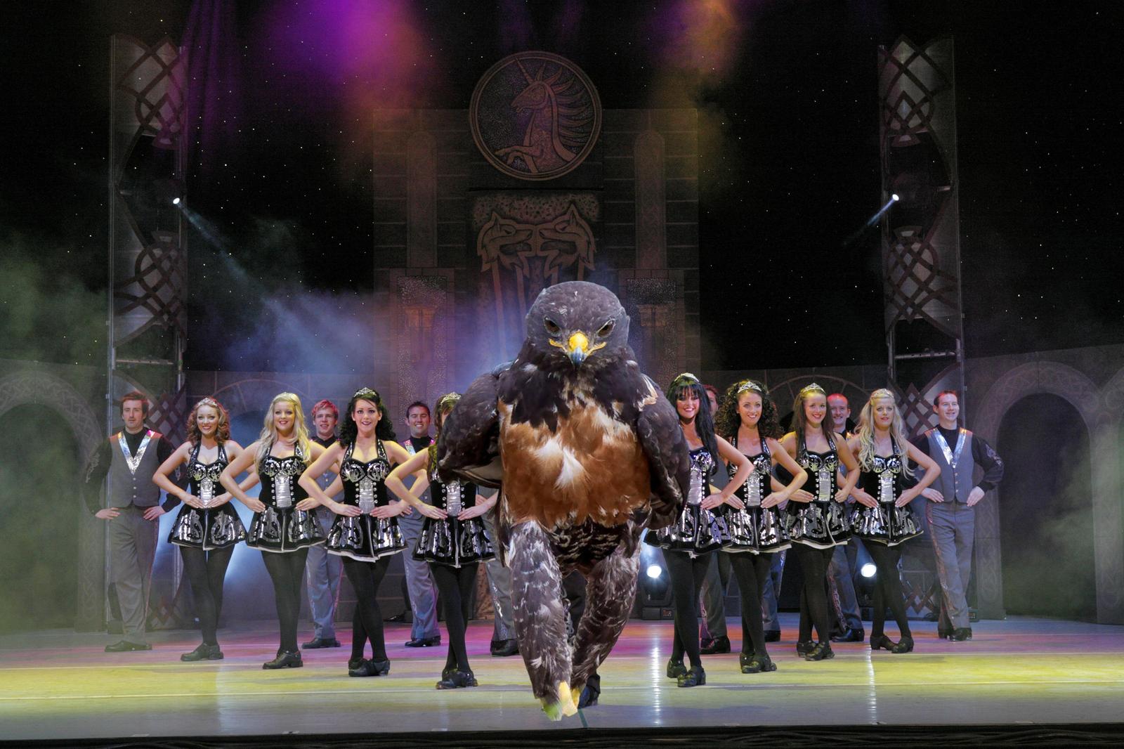 powerful bird - Photo, Eagle, Photoshop, Accordion, Longpost, Repeat