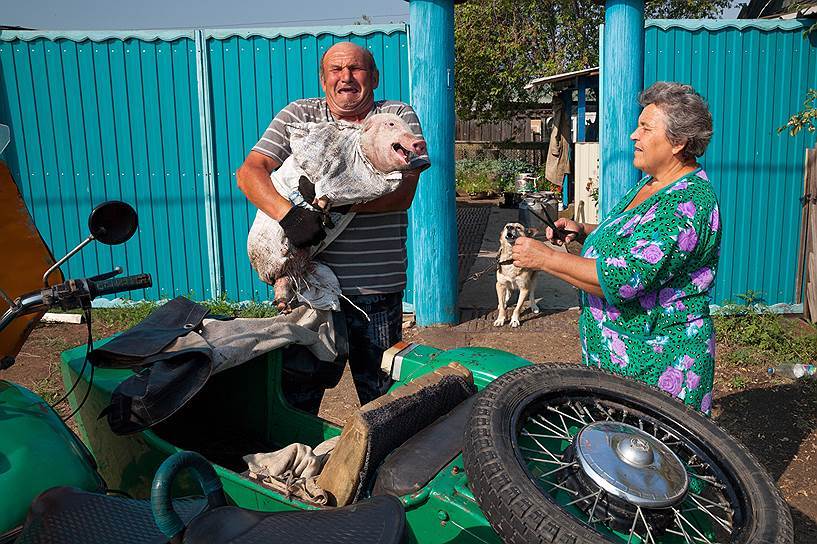 To the market. - , Village, Piggy