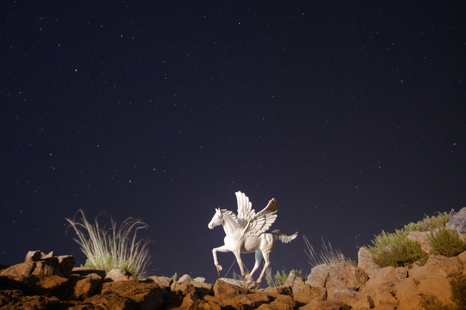 Some stars and the sea :) - My, Stars, Night, Sky, Canon, Try, Sea, Longpost, Stars