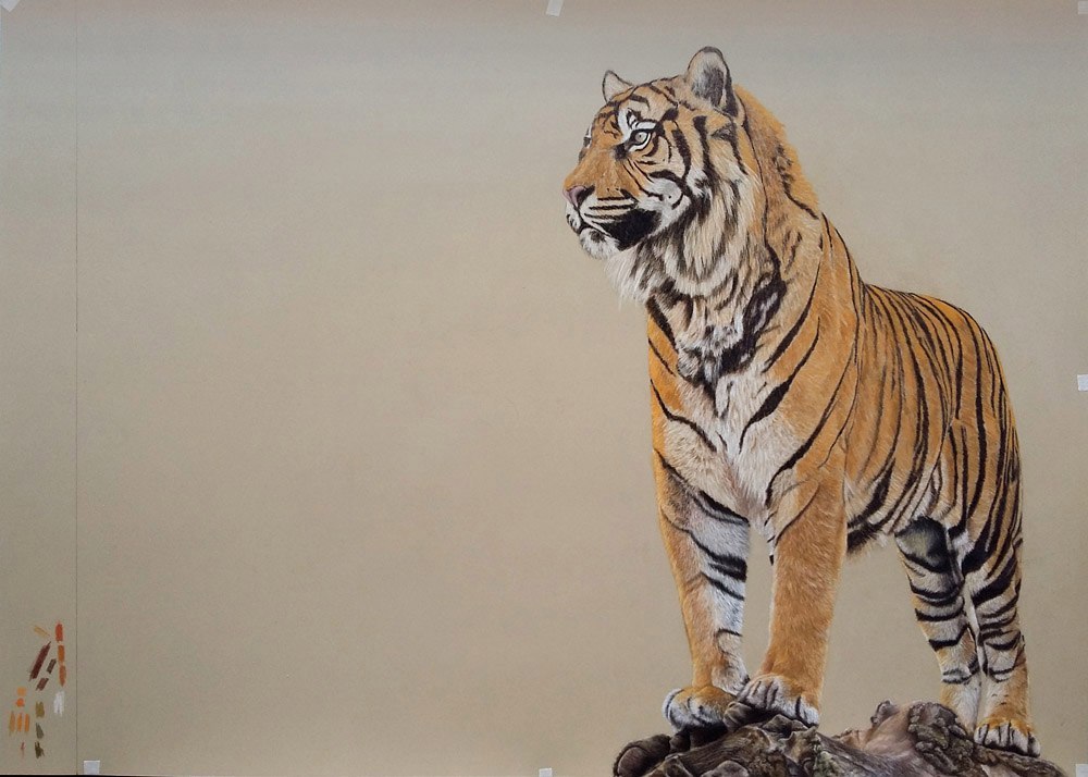 Tigers - My, Tiger, Pastel, Drawing, Animalistics, Animals, Longpost