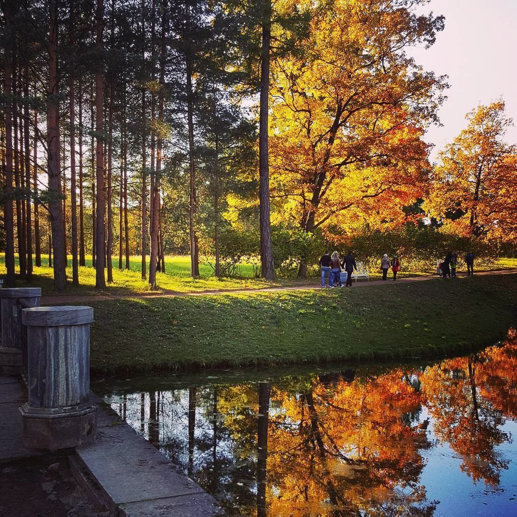 Royal Village. From summer to autumn - Summer, Autumn, Photo, Tsarskoe Selo