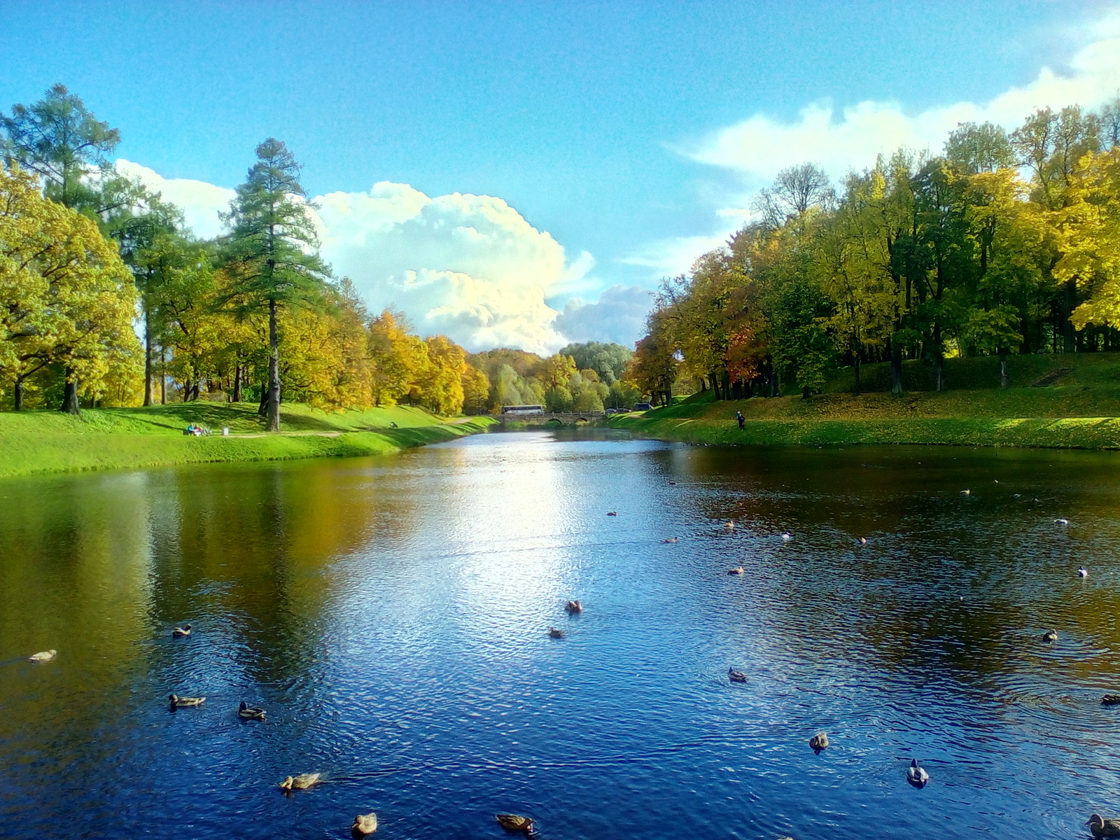 Gatchina - My, Photo, Gatchina, Leningrad region