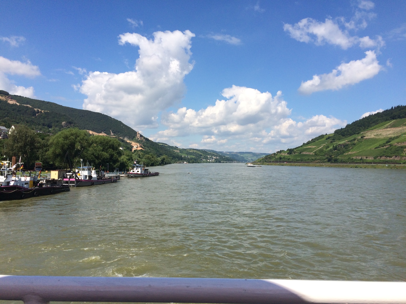 Beauty of the Rhine - My, Photo, Germany, River, Longpost, My