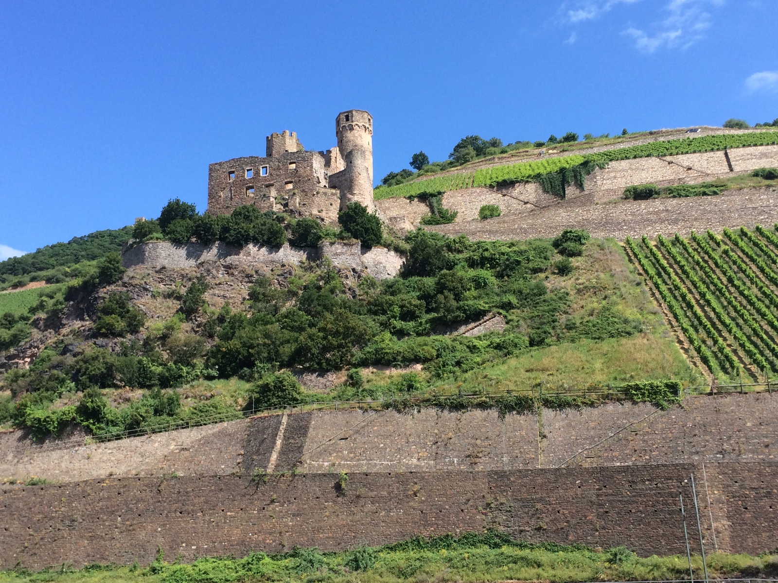 Beauty of the Rhine - My, Photo, Germany, River, Longpost, My