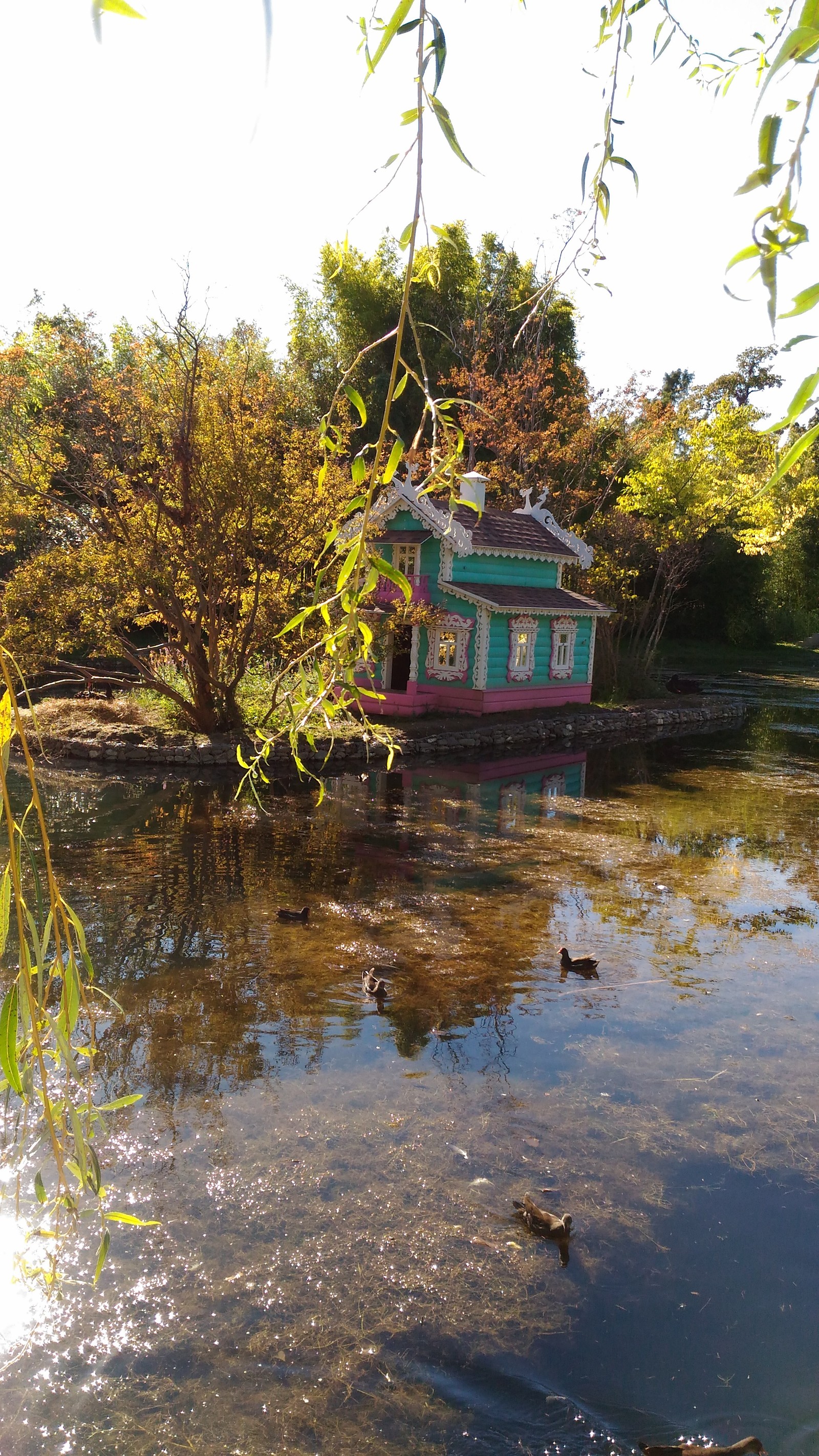 Teremok - My, Pond, Arboretum, House