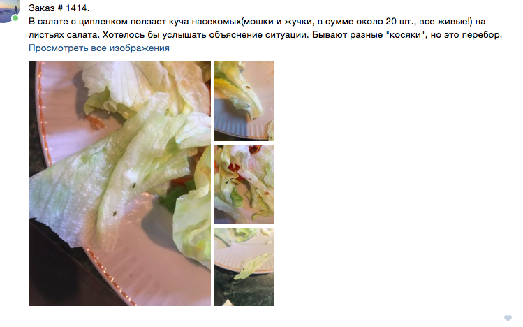 Animals in a salad from the 2nd coast. - My, Delivery, Saint Petersburg, Violation, Salad, Midges, Food, Longpost