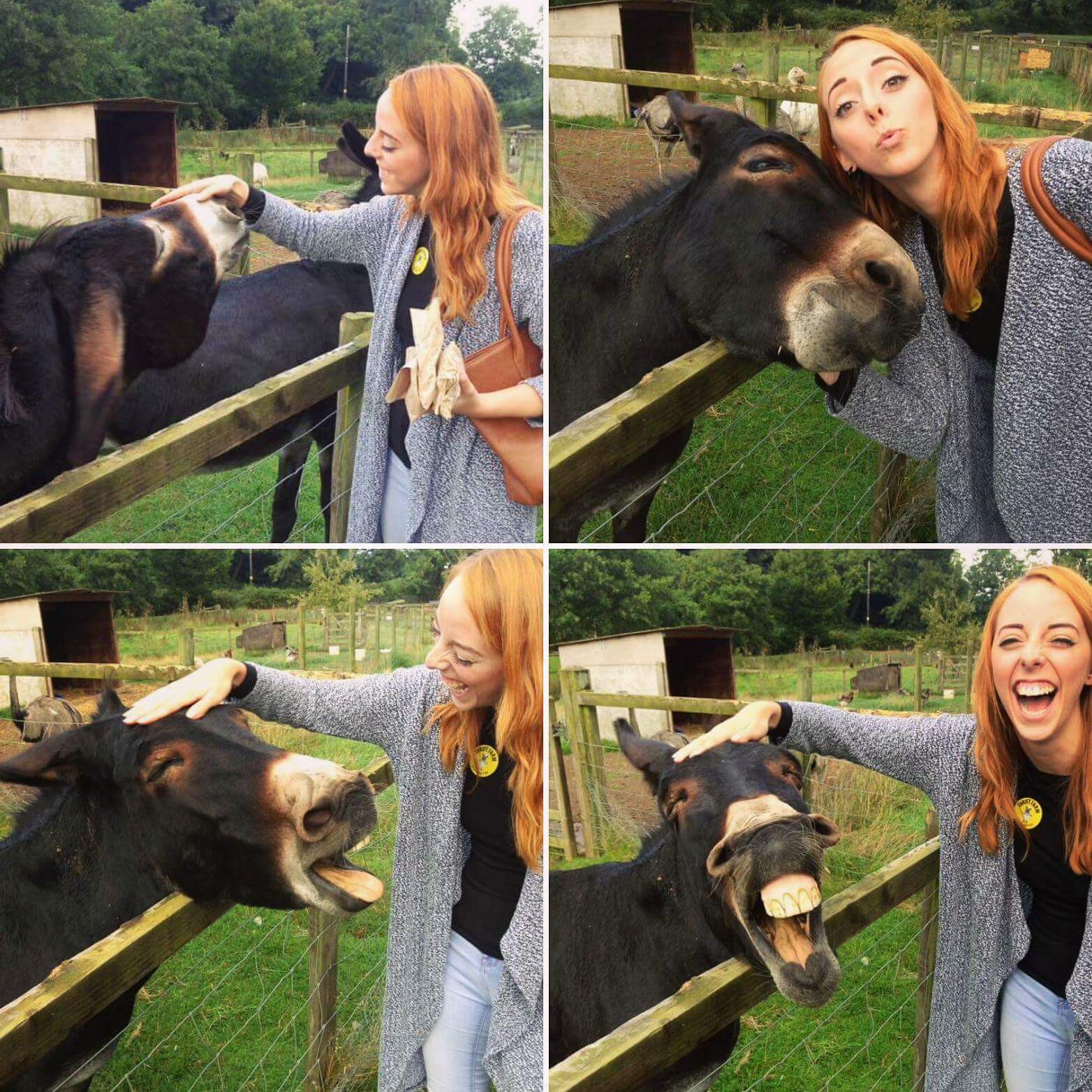 Best friends - Girls, Donkey, Friends, Photo