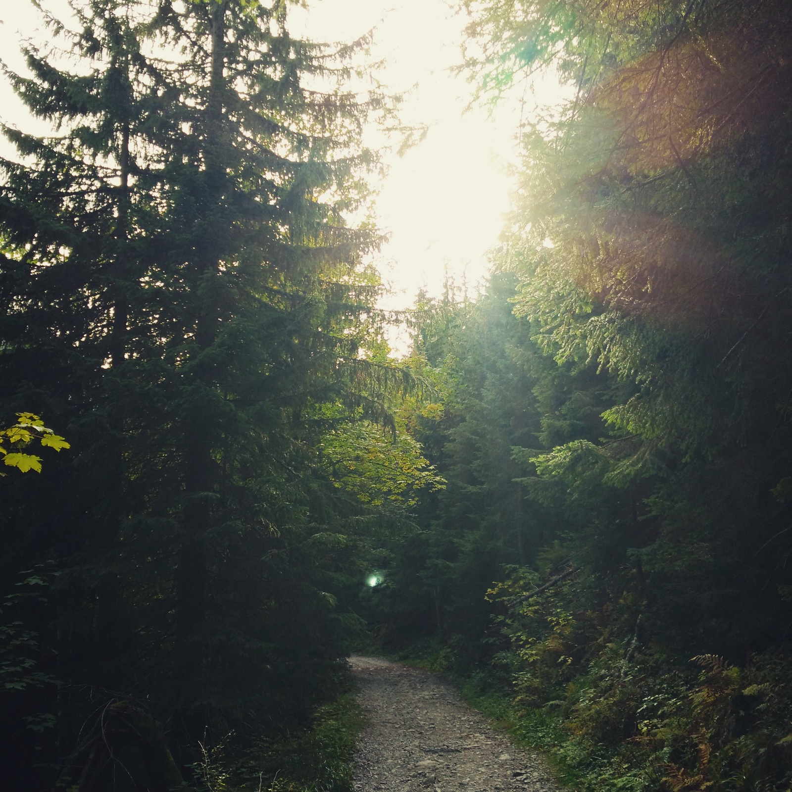 Zakopane, Kasprowy Wierch, Poland - My, Poland, Zakopane, , Longpost