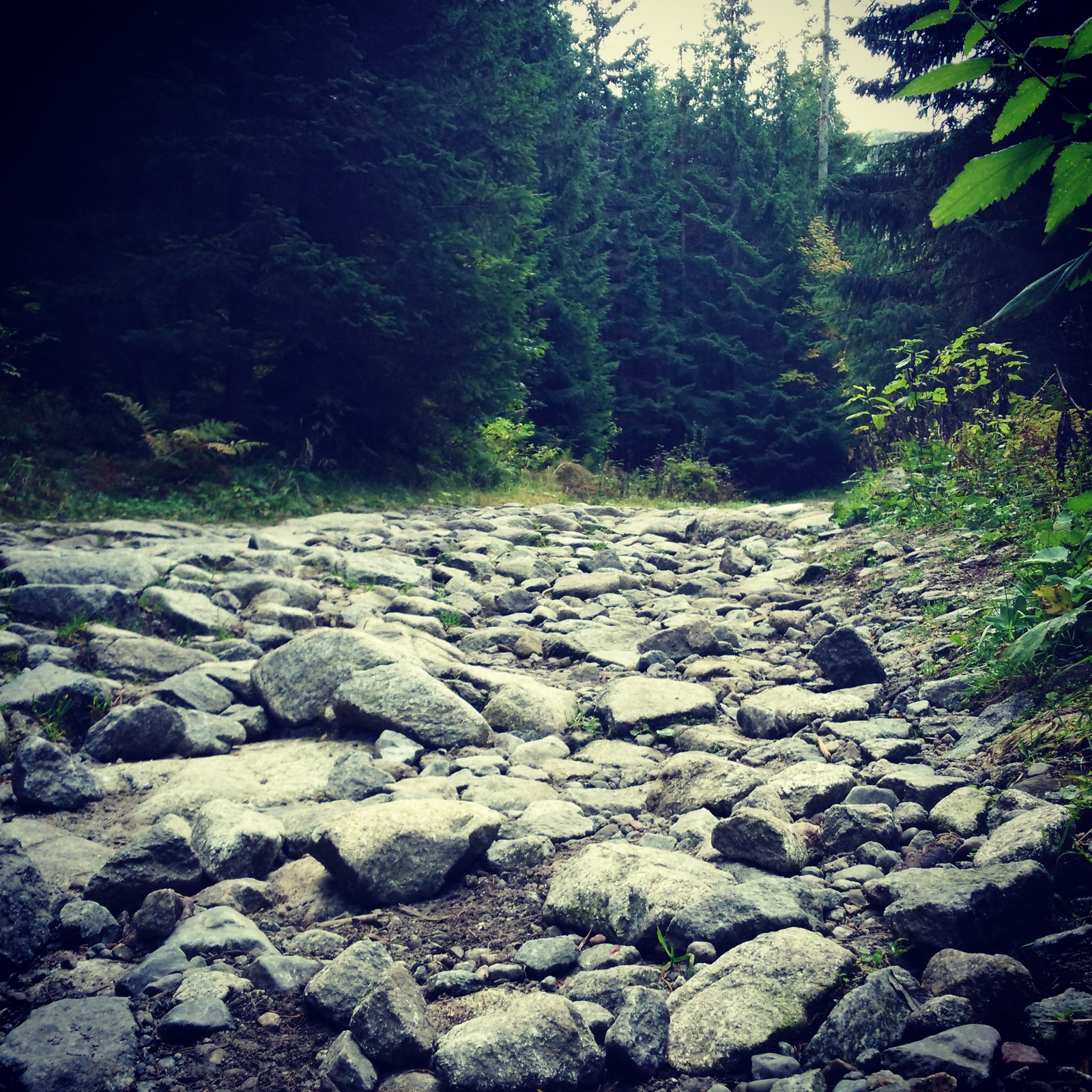 Zakopane, Kasprowy Wierch, Poland - My, Poland, Zakopane, , Longpost