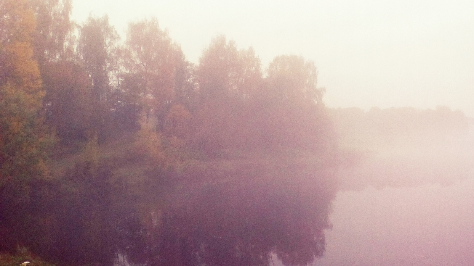 Fog on the lake - My, Lake, Autumn, Fog, , Longpost