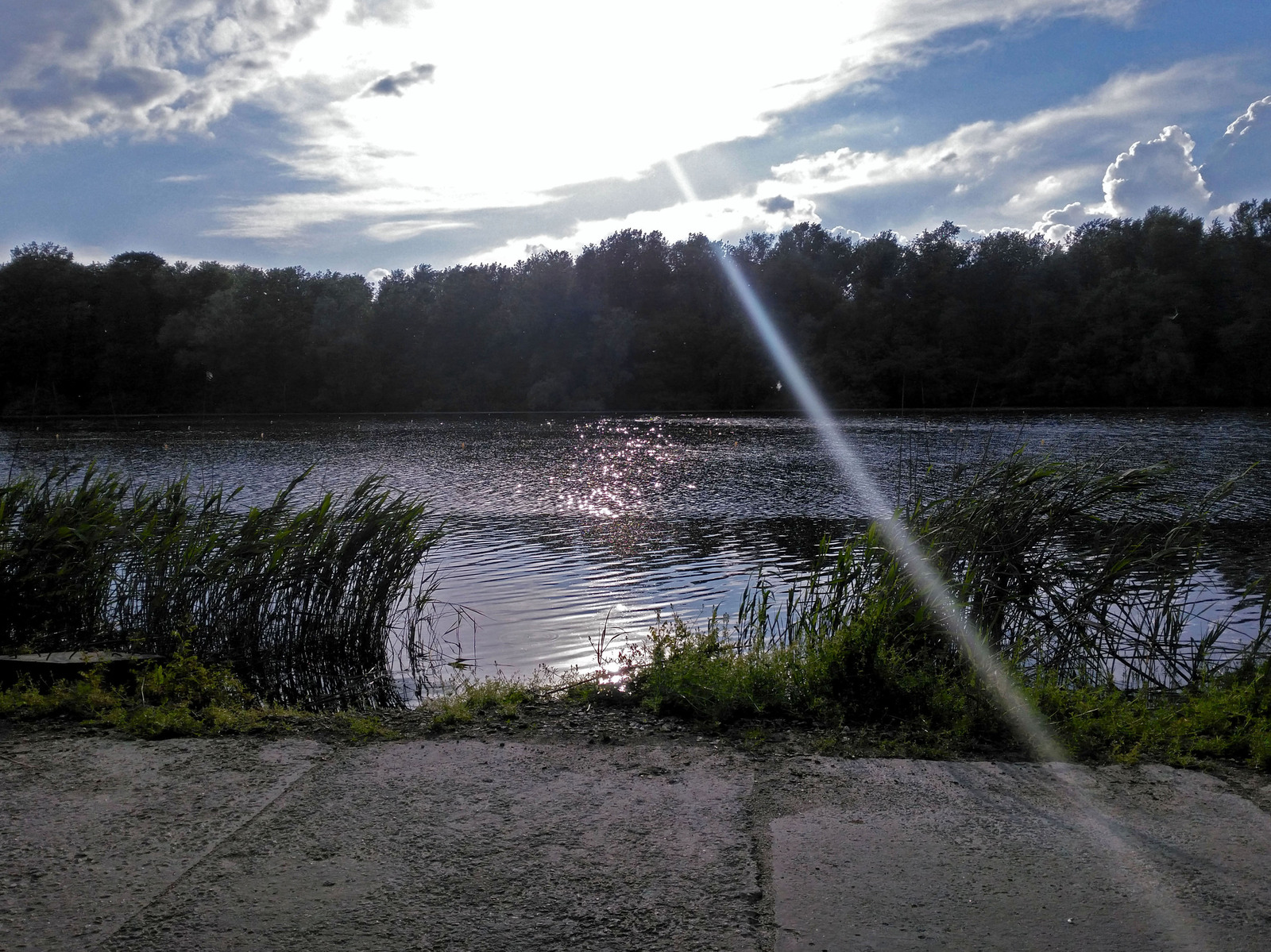 Photo from my walk to the rowing canal - My, The photo, Dnieper, Landscape, Longpost