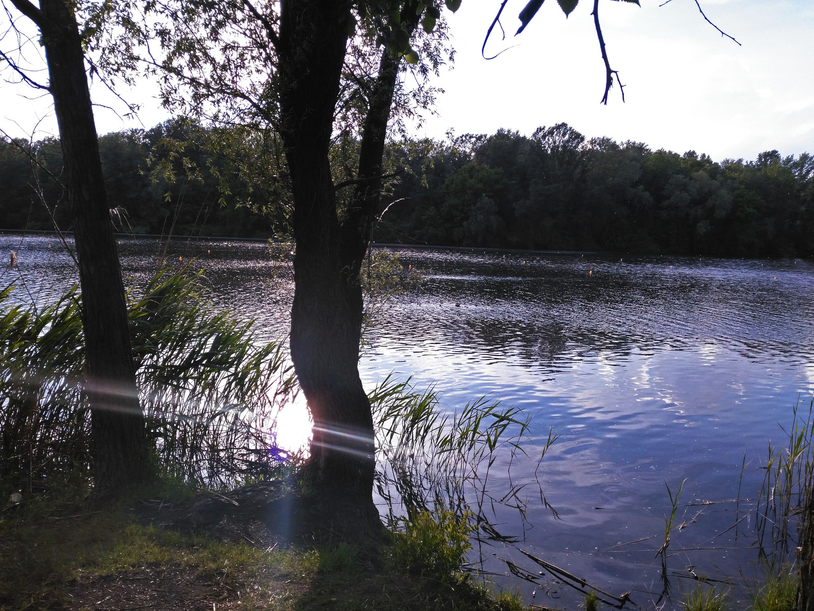 Photo from my walk to the rowing canal - My, The photo, Dnieper, Landscape, Longpost