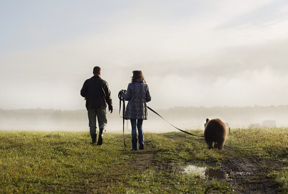 Somewhere in the Tver region... - The Bears, Not mine, Animals, Russia, Longpost, Dog