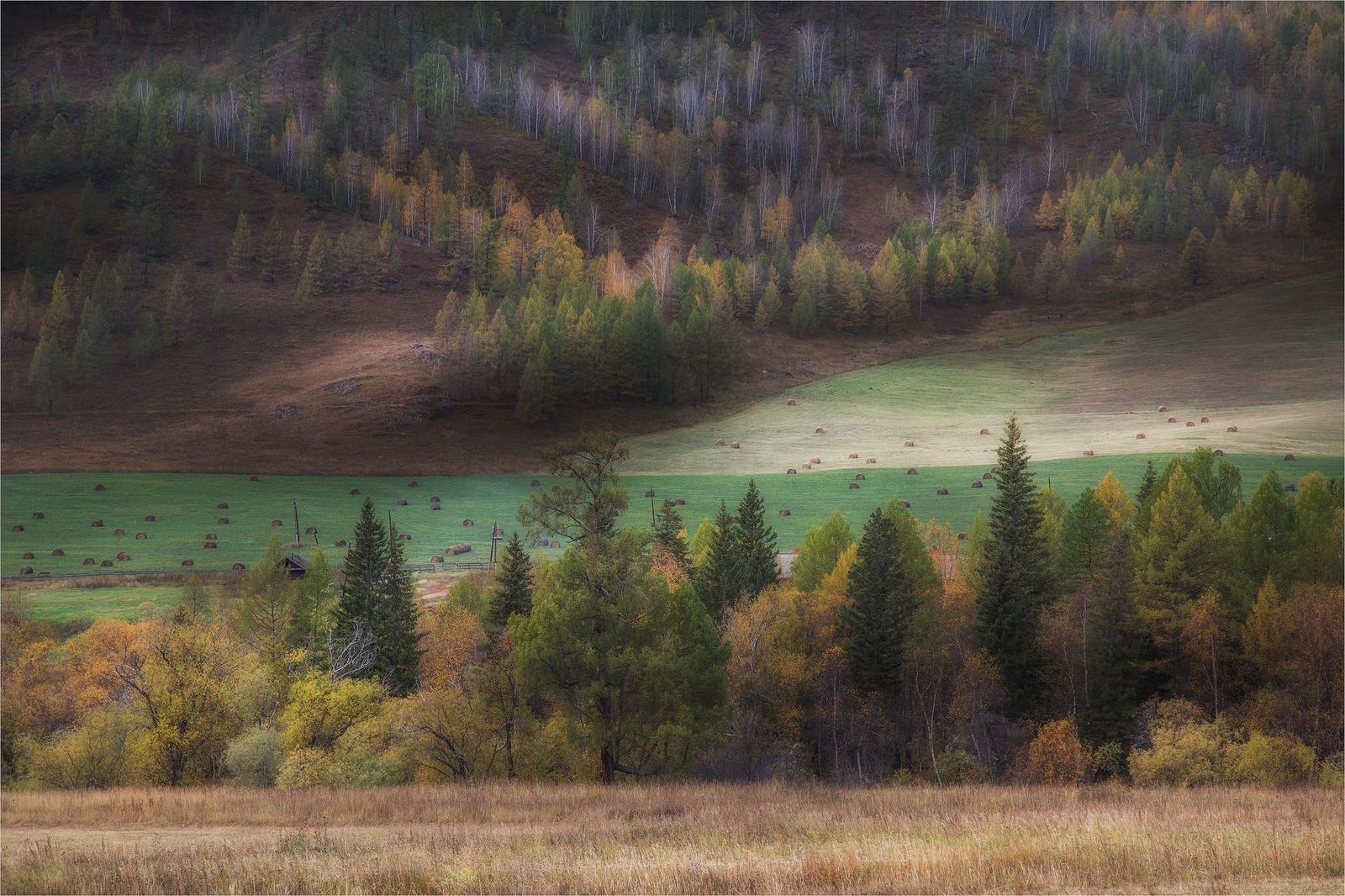 Velvet autumn of Altai - Altai, Russia, Gotta go, Nature, Autumn, Photo, The photo, Landscape, Longpost, Altai Republic