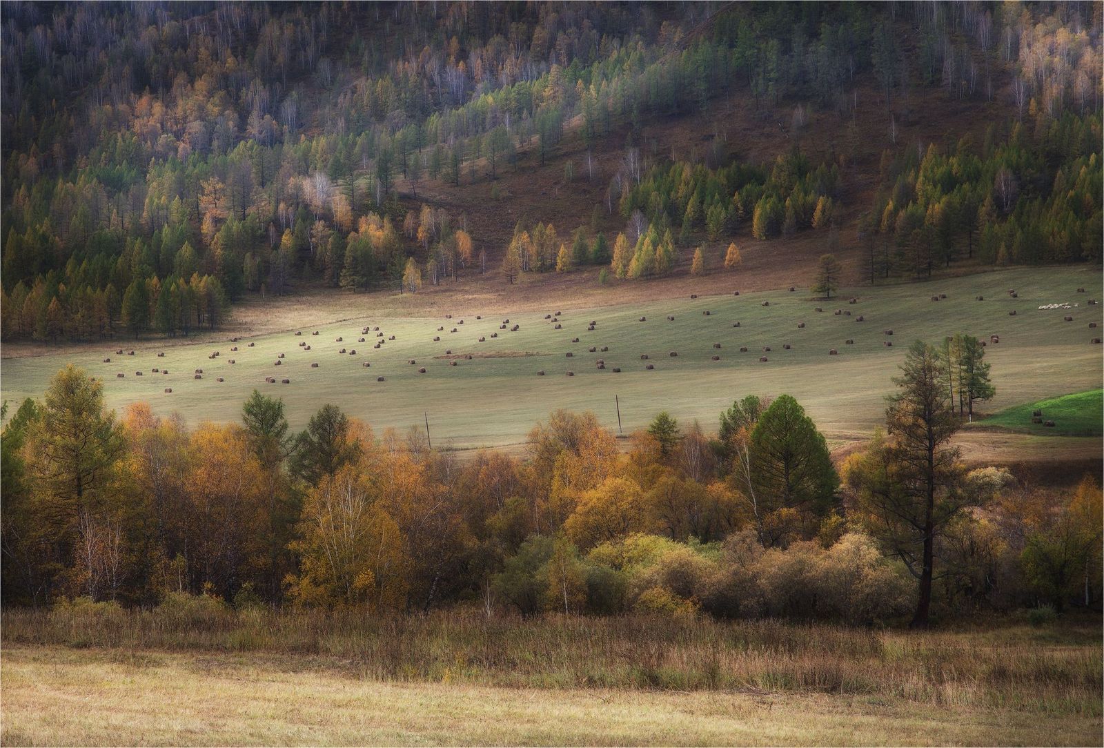 Velvet autumn of Altai - Altai, Russia, Gotta go, Nature, Autumn, Photo, The photo, Landscape, Longpost, Altai Republic