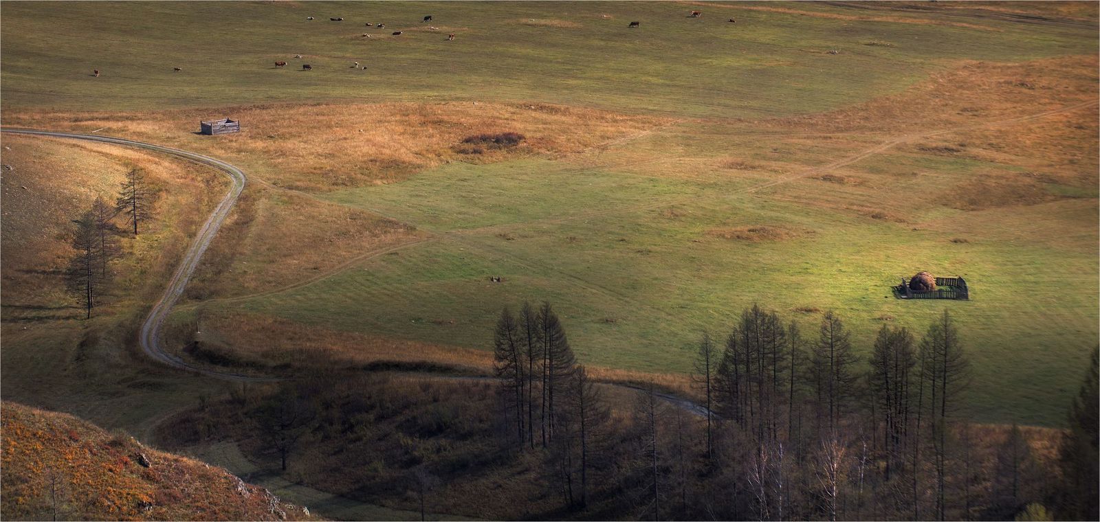 Velvet autumn of Altai - Altai, Russia, Gotta go, Nature, Autumn, Photo, The photo, Landscape, Longpost, Altai Republic