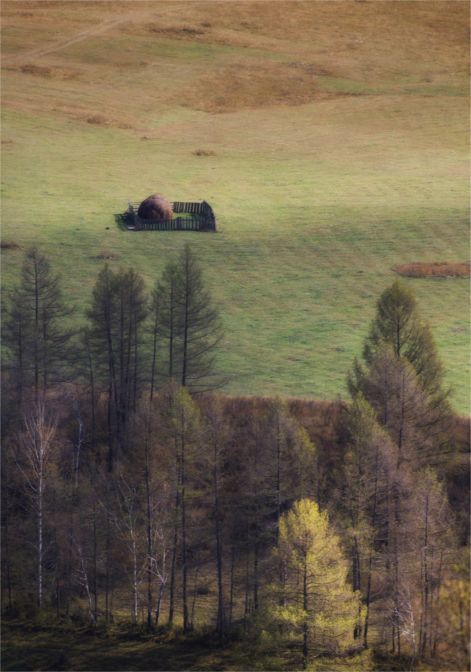 Velvet autumn of Altai - Altai, Russia, Gotta go, Nature, Autumn, Photo, The photo, Landscape, Longpost, Altai Republic