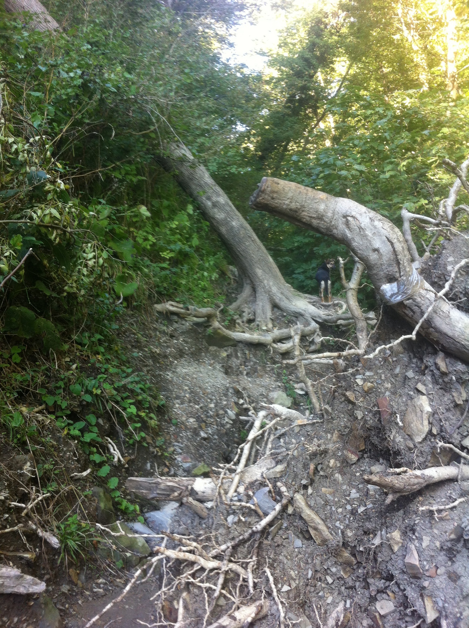 Kiseleva Rock - a natural monument of the Tuapse district of the Krasnodar Territory - My, , Kiselev Rock, My, Black Sea, Longpost, Photo, Text, Travels