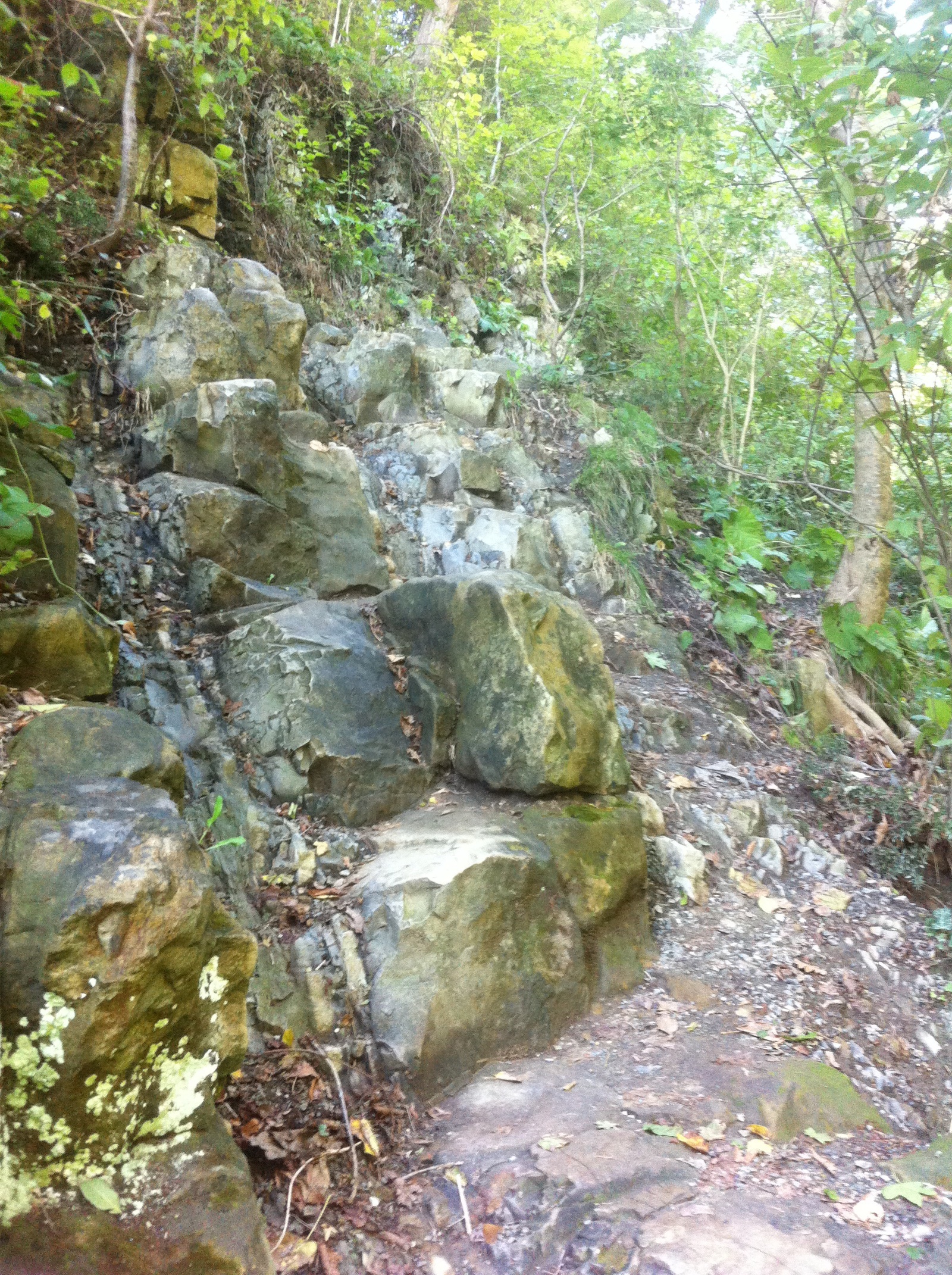 Kiseleva Rock - a natural monument of the Tuapse district of the Krasnodar Territory - My, , Kiselev Rock, My, Black Sea, Longpost, Photo, Text, Travels