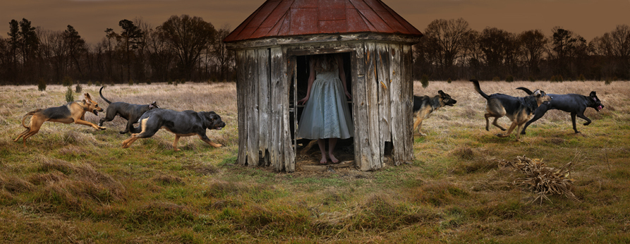 Том Чемберс (Tom Chambers) - Фото, Фотография, Фотограф, Интересное, Том чемберс, Tom chambers, Длиннопост