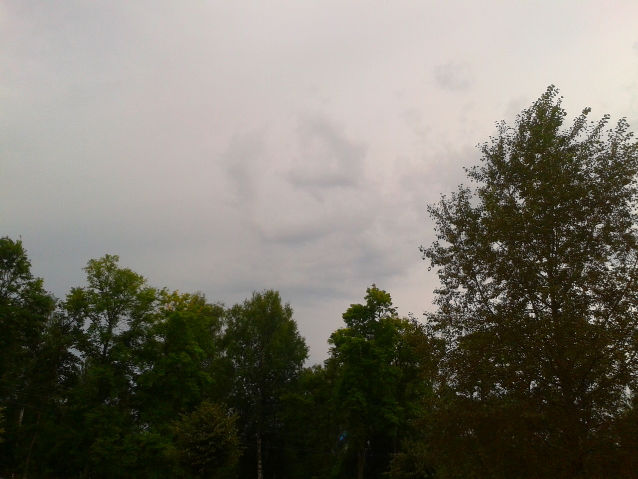 This is how you go out for a run in the early morning, and there are already advertisements in the sky. - My, Internet Explorer, Yaroslavl, Photo, My